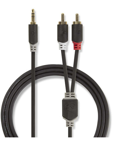 Nedis CABW22200AT10 audio kabel 1 m 3.5mm 2 x RCA Antraciet
